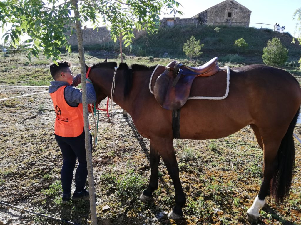 Resultados Campeonato Navarro de Raid CET0*, CEAP60 km y CEAP40 km